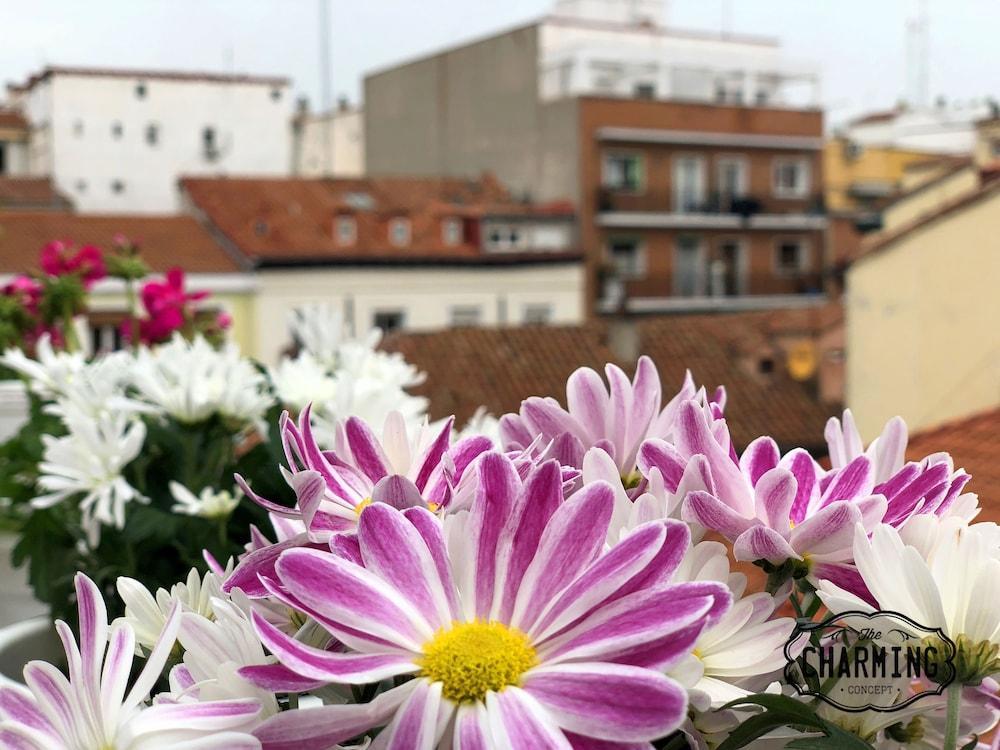 Charming Oasis In The Centre Of Madridアパートメント エクステリア 写真